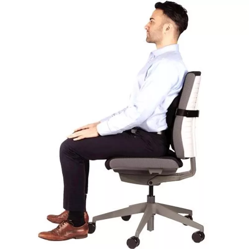 Stuhlrückenstütze PlushTouch/Lumbar 8026501 FELLOWES