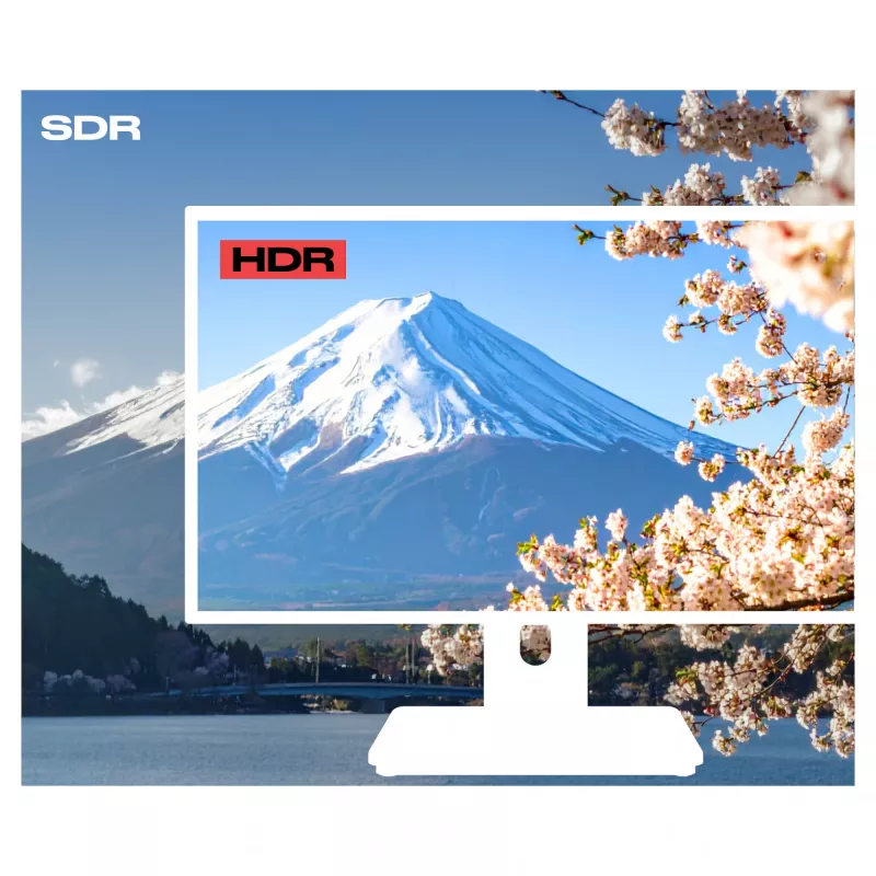 JAPANNEXT FHD Touchscreen Monitor 54,61 cm (21,5 inch) 1920x1080 Pixel, IPS-Panel, 8 ms, 75 Hz, AMD FreeSync, HDMI, Touch (JN-IPS2152FHDR-C65W-FLD-T)