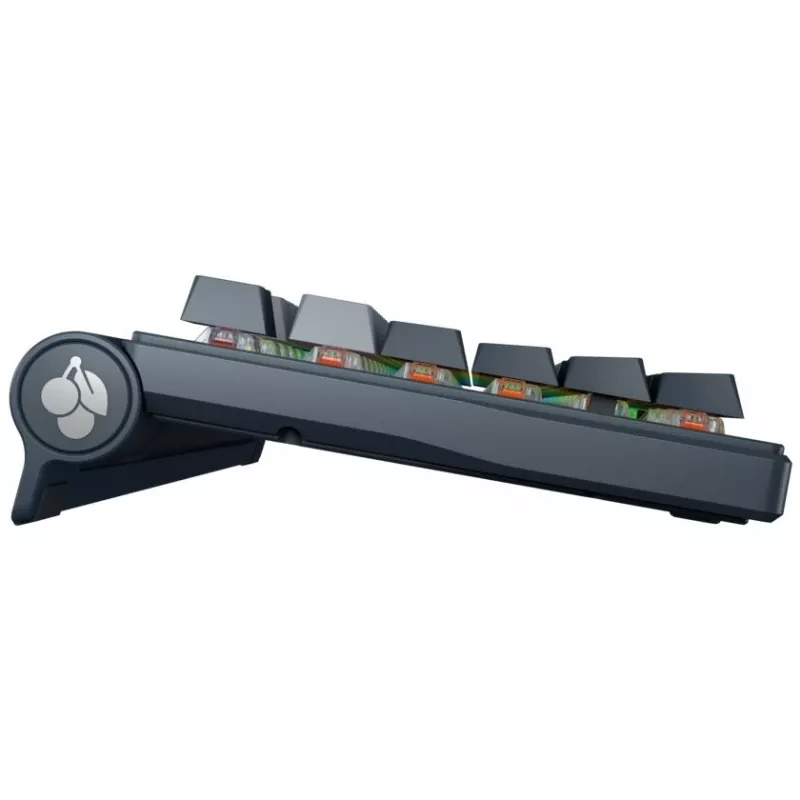 Mechanische Tastatur Cherry MX 8.3 Wireless RGB Red Switch DE-Layout