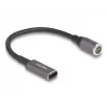 Netzkabel DeLOCK 80781 0,15 m USB-C 8-Pin 20 V