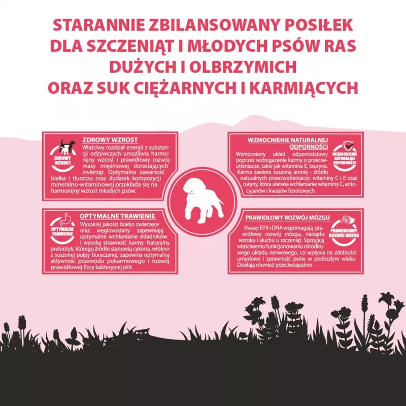 PUPIL Premium Junior Large and extra large breeds Rich in beef - Trockenhundefutter - 12kg