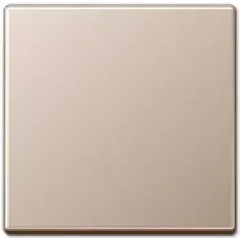 Wandplatteneinsatz von Jung A 590 CH, Champagner-Finish, kompatibel mit Jung 501/502/503/506/507 Serien