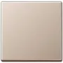 Wandplatteneinsatz von Jung A 590 CH, Champagner-Finish, kompatibel mit Jung 501/502/503/506/507 Serien