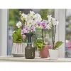 Handsprüher Gardena 11110-20 0,75 L Schwarz