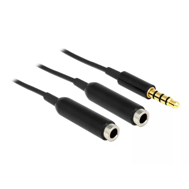 Audiokabel DeLOCK 65575 0,25 m 3,5 mm 2 x 3,5 mm Schwarz