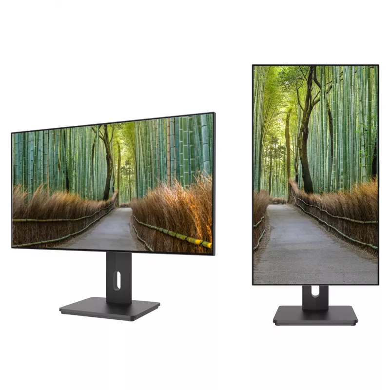 JAPANNEXT JN-27IPS4FLWQHDR-HSP 16:9 HDMI/DP WQHD - Flachbildschirm (TFT/LCD)