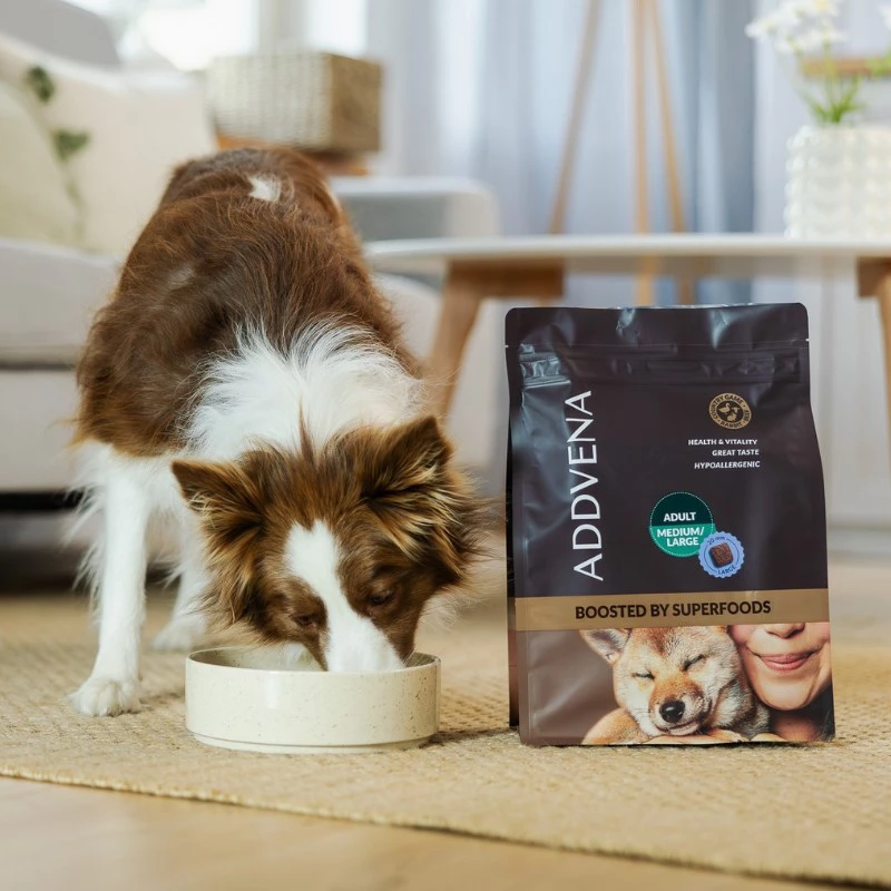 ADDVENA Boosted by superfoods Adult Medium/Large Beef - Trockenhundefutter - 2,5 kg