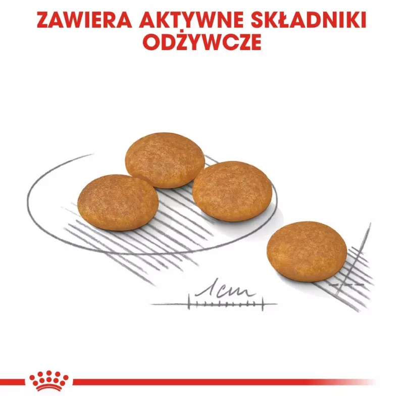ROYAL CANIN Mini Dermacomfort - Trockenfutter für ausgewachsene kleine Hunderassen mit empfindlicher, zu Reizungen neigender Haut - 3 kg