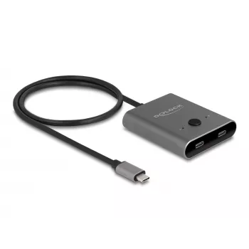 DeLOCK 11500 USB 3.2 Gen 2 Type-C Hub 10000 Mbit/s 144 Hz