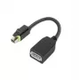 Lenovo 4X90Q93975 Videokabel-Adapter Mini DisplayPort DisplayPort Schwarz