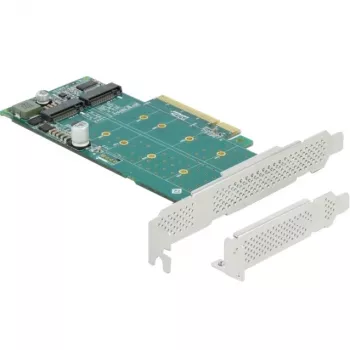 DeLOCK PCI Express x8 Karte auf 2 x interne NVMe M.2 Key M Bifurkation Low-Profile-Formfaktor
