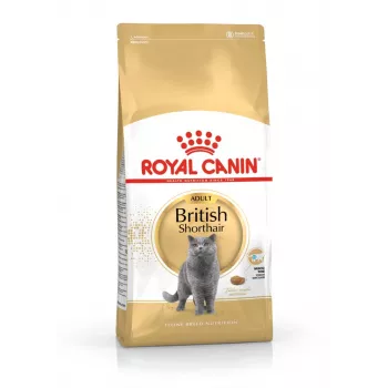 Royal Canin British Shorthair Adult Katzen Trockenfutter 4 kg