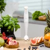 Blender Zelmer ZHB4560I Pulsar