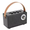 Camry Lautsprecher mit Radio | CR 1902 B | 5 W | Bluetooth | Schwarz | Kabellose Verbindung