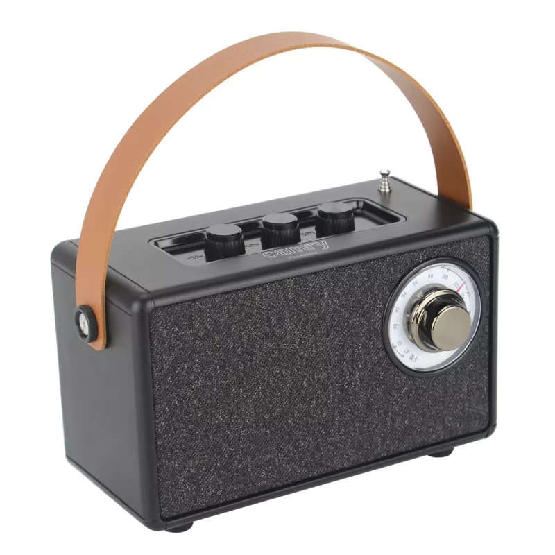 Camry Lautsprecher mit Radio | CR 1902 B | 5 W | Bluetooth | Schwarz | Kabellose Verbindung