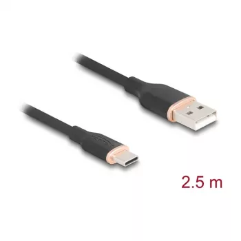 USB-Kabel DeLOCK 81227 2,5 m USB A USB C Schwarz