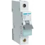 Hager MBN116 Elektroschalter 1P (MBN116)