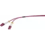 Renkforce RF-4738838 Glasfaser LWL-Verbindungskabel [1x LC-Stecker - 1x LC-Stecker] 50/125 µ Multimode OM4 2,00 m (RF-4738838)