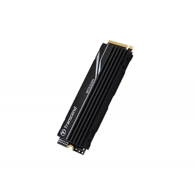 SSD-Laufwerk Transcend 2 TB M.2 PCI Express 4.0 NVMe MTE250H