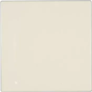 Jung Cover Plate Blindabdeckung LS 990, LS design, LS plus Creme-Weiß LS 994 B (LS 994 B)