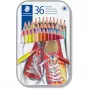 Buntstifte Staedtler 175 Multicolour 36 Stück