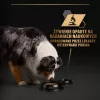 PURINA Pro Plan Everyday nutrition All size Adult Turkey in jelly - Nassfutter für Hunde - 400g