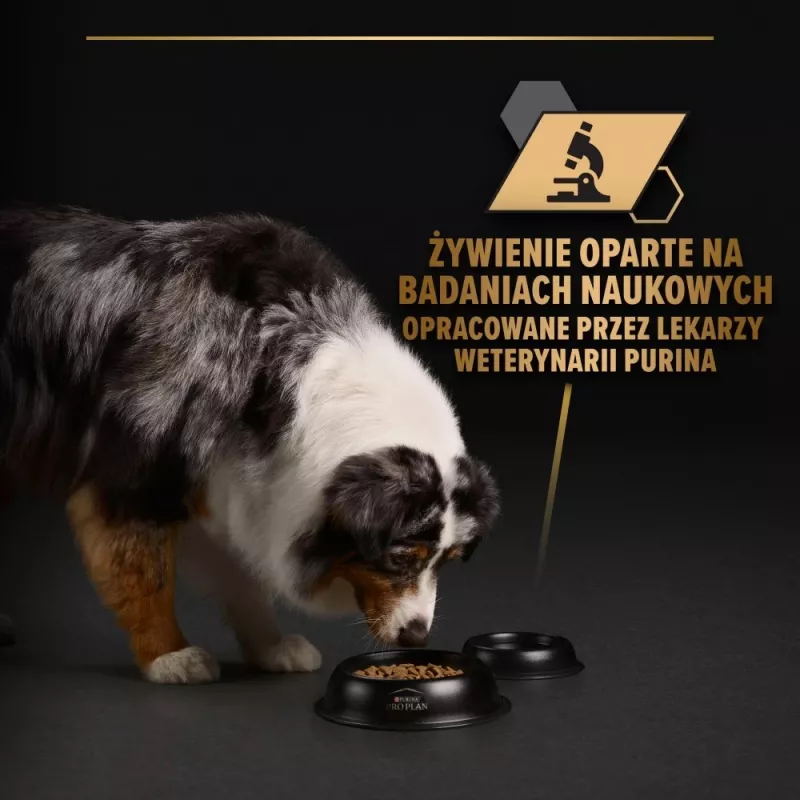 PURINA Pro Plan Everyday nutrition All size Adult Turkey in jelly - Nassfutter für Hunde - 400g