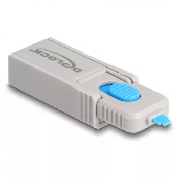 Port-Schloss DeLOCK 20969 DisplayPort HDMI USB Typ-A USB Typ-C Grau