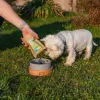 Trockenes Hundefutter Animal Island Adult Medium Salmon 12 kg — Alleinfuttermittel für mittelgroße Rassen, 32% Protein, 16% Fett, getreidefrei