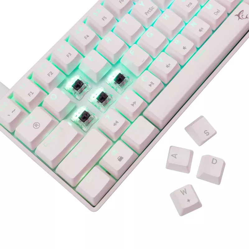 Mechanische Tastatur White Shark Shinobi-2 Brown Switch US-Layout — kompaktes Design, Brown-Switches