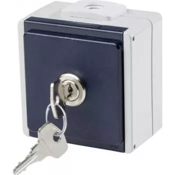 as - Schwabe 62461 Aufputzsteckdose abschließbar IP54 Grau (62461)