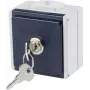 as - Schwabe 62461 Aufputzsteckdose abschließbar IP54 Grau (62461)
