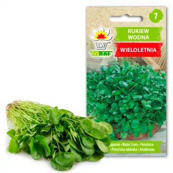 Brunnenkresse Toraf Gemüsesamen, 0,2g Packung