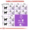 ROYAL CANIN Sterilised 37 - Trockenfutter für Katzen - 10 kg