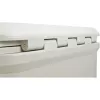 Coleman Pro 45 QT Kühlbox Weiß Hochdichtes Polyethylen 43L