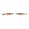 HDMI-Kabel DeLOCK 85729 2 m HDMI Typ A Standard Schwarz Gold