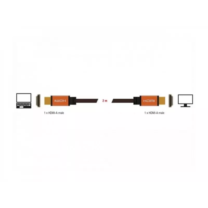 HDMI-Kabel DeLOCK 85729 2 m HDMI Typ A Standard Schwarz Gold