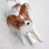 VET EXPERT Immunsystem – Immununterstützungspräparat für Hunde und Katzen – 30 Kapseln.