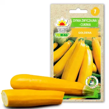 Goldene Zucchini Toraf Gemüsesamen, 5g Packung