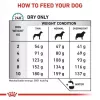 Trockenfutter für Hunde Royal Canin Anallergenic Small 1,5 kg — hypoallergene Rezeptur für ausgewachsene Hunde kleiner Rassen