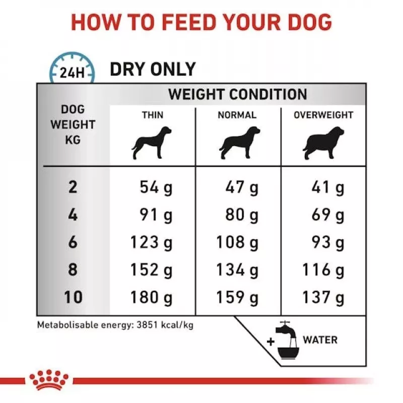 Trockenfutter für Hunde Royal Canin Anallergenic Small 1,5 kg — hypoallergene Rezeptur für ausgewachsene Hunde kleiner Rassen