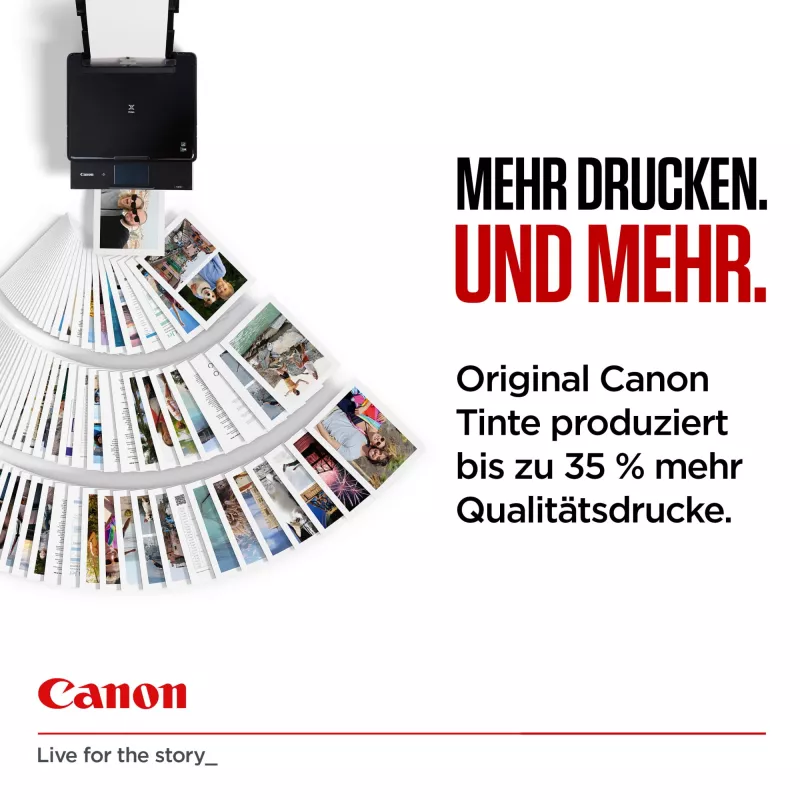 Canon 6204C001 Tintenpatrone 1 Stk. Original High (XL) Yield Schwarz