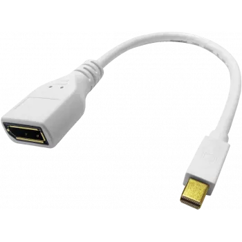 ROLINE - DisplayPort-Adapter - Mini DisplayPort (M) auf DisplayPort (W) - Schwarz (12.03.3163)