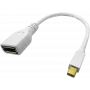 ROLINE - DisplayPort-Adapter - Mini DisplayPort (M) auf DisplayPort (W) - Schwarz (12.03.3163)