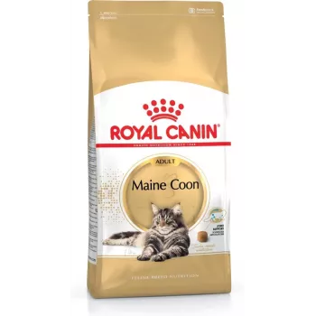 Trockenfutter für Katzen Royal Canin Maine Coon Adult 4 kg — Huhn, 31 % Protein, 20 % Fett