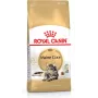Royal Canin FBN Maine Coon Adult Trockenfutter für Katzen, 4 kg