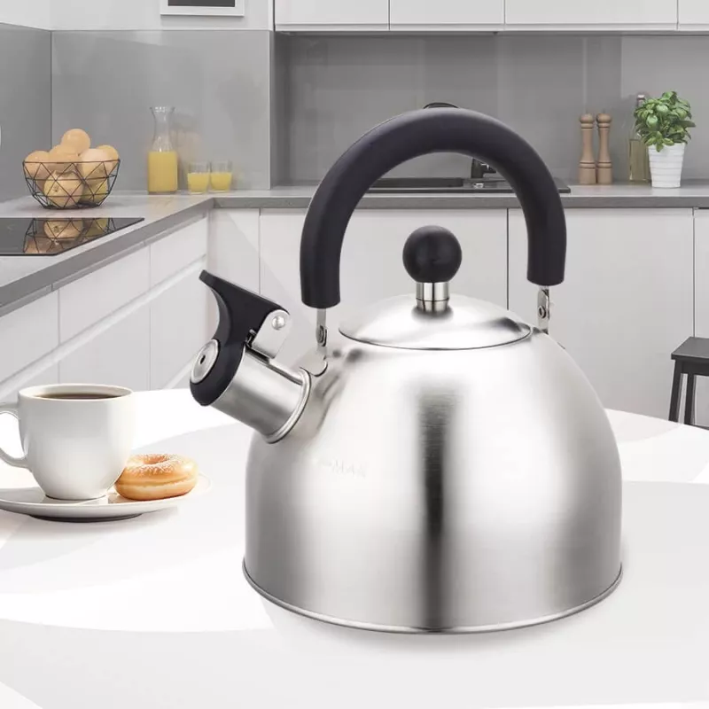 Maestro MR-1300 Wasserkocher 2 L Silber
