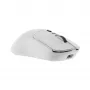 Maus White Shark GM-9010 MAXIMUS Weiß USB