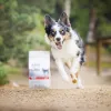 RAW PALEO Ultra Medium&Large Adult Rind - Trockenfutter für Hunde - 10 kg
