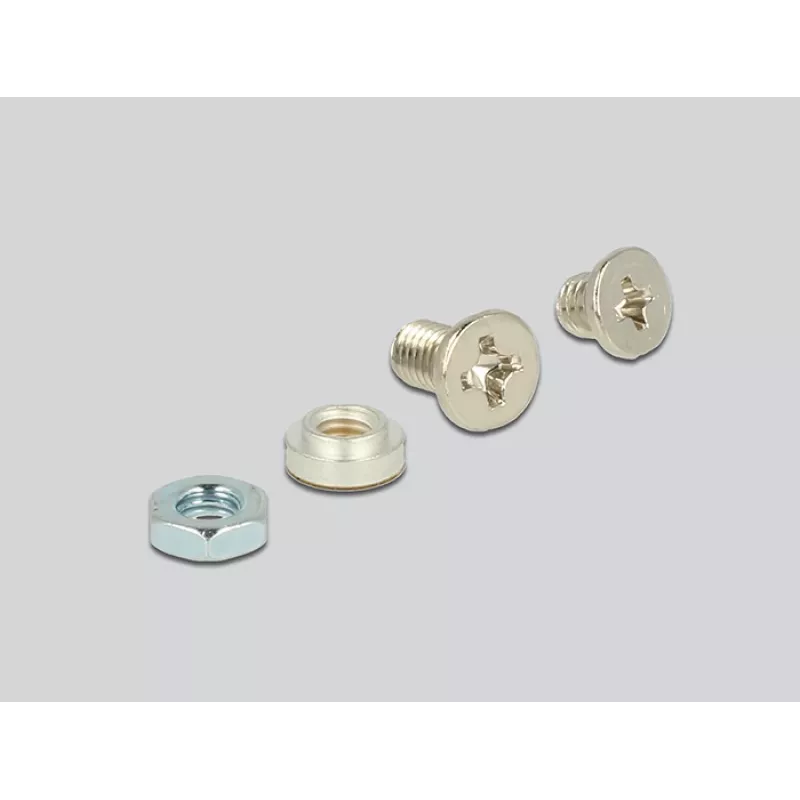 Interner M.2-Adapter DeLOCK 62865